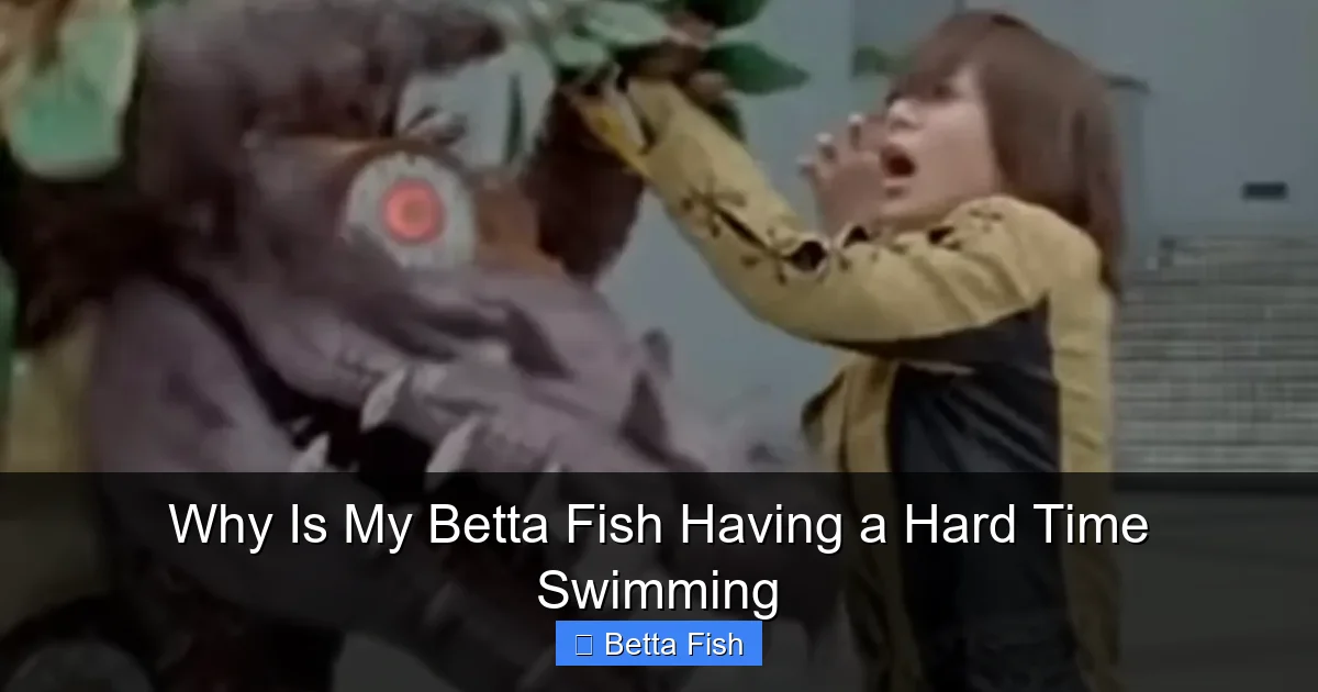 Why Is My Betta Fish Having a Hard Time Swimming