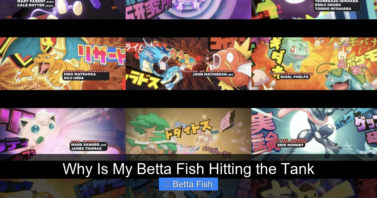 Why Is My Betta Fish Hitting the Tank