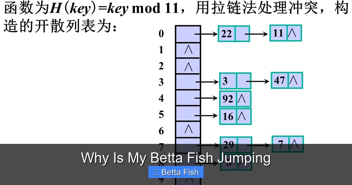 Why Is My Betta Fish Jumping