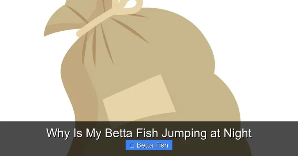 Why Is My Betta Fish Jumping at Night