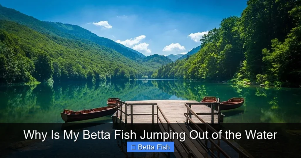 Why Is My Betta Fish Jumping Out of the Water