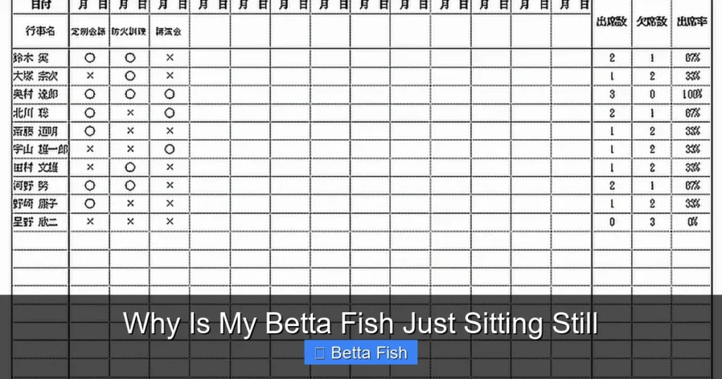 Why Is My Betta Fish Just Sitting Still