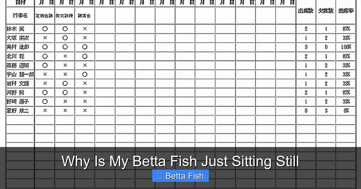 Why Is My Betta Fish Just Sitting Still