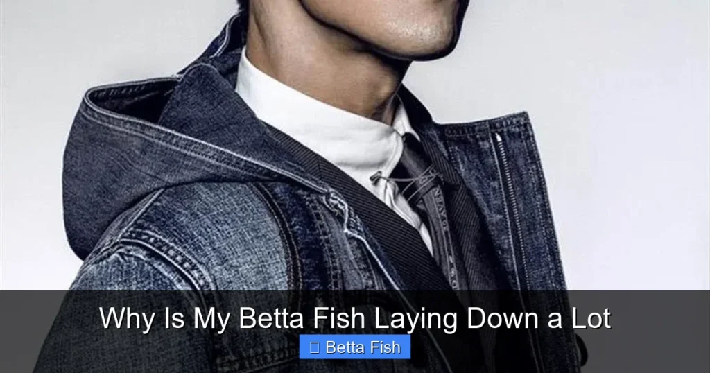 Why Is My Betta Fish Laying Down a Lot