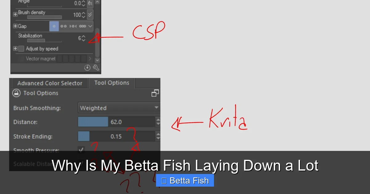 Why Is My Betta Fish Laying Down a Lot