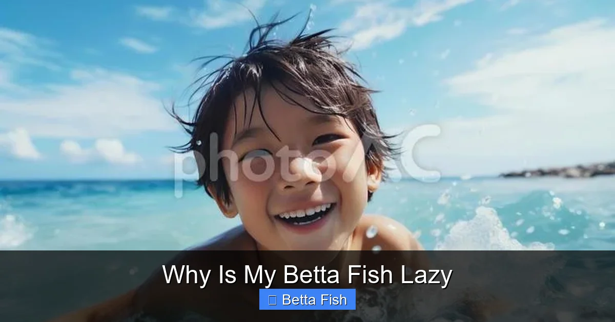 Why Is My Betta Fish Lazy