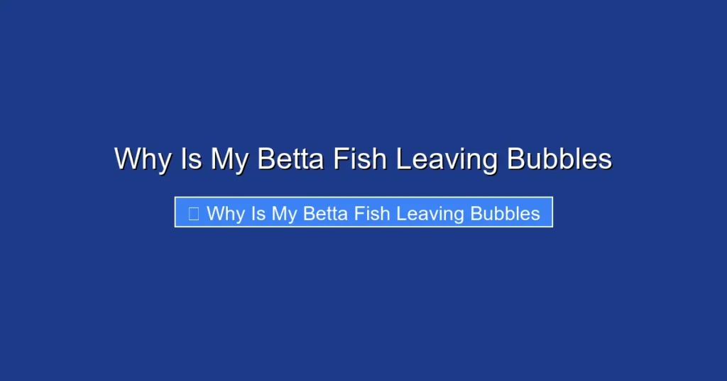 Why Is My Betta Fish Leaving Bubbles