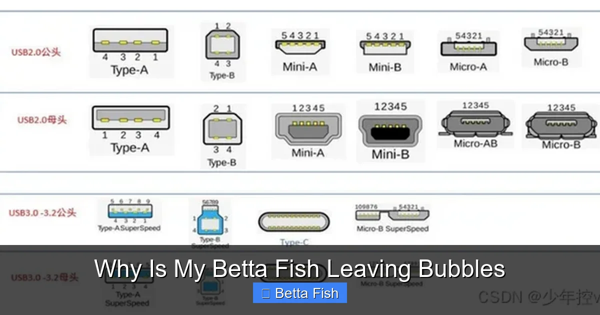 Why Is My Betta Fish Leaving Bubbles