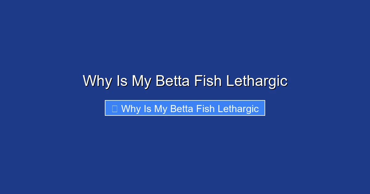 Why Is My Betta Fish Lethargic