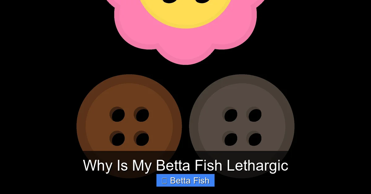 Why Is My Betta Fish Lethargic