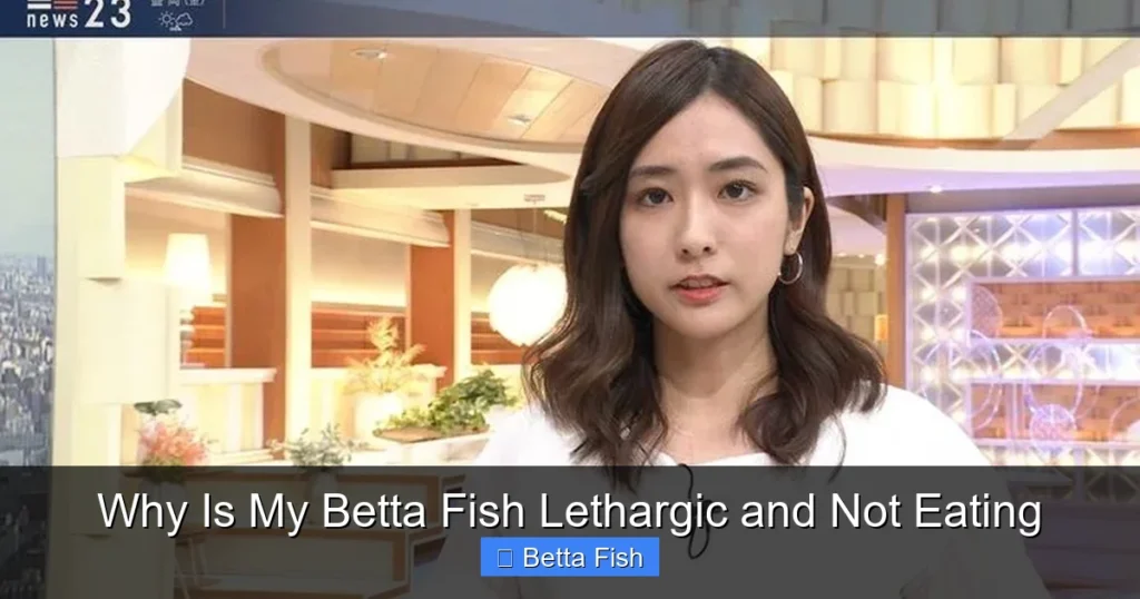 Why Is My Betta Fish Lethargic and Not Eating