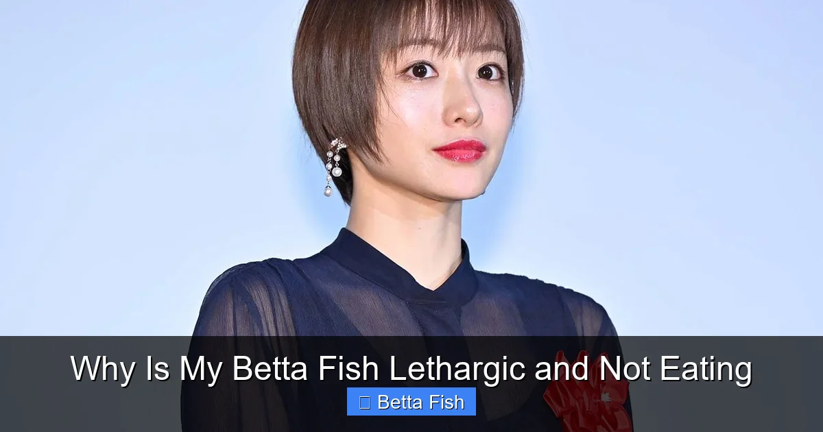 Why Is My Betta Fish Lethargic and Not Eating