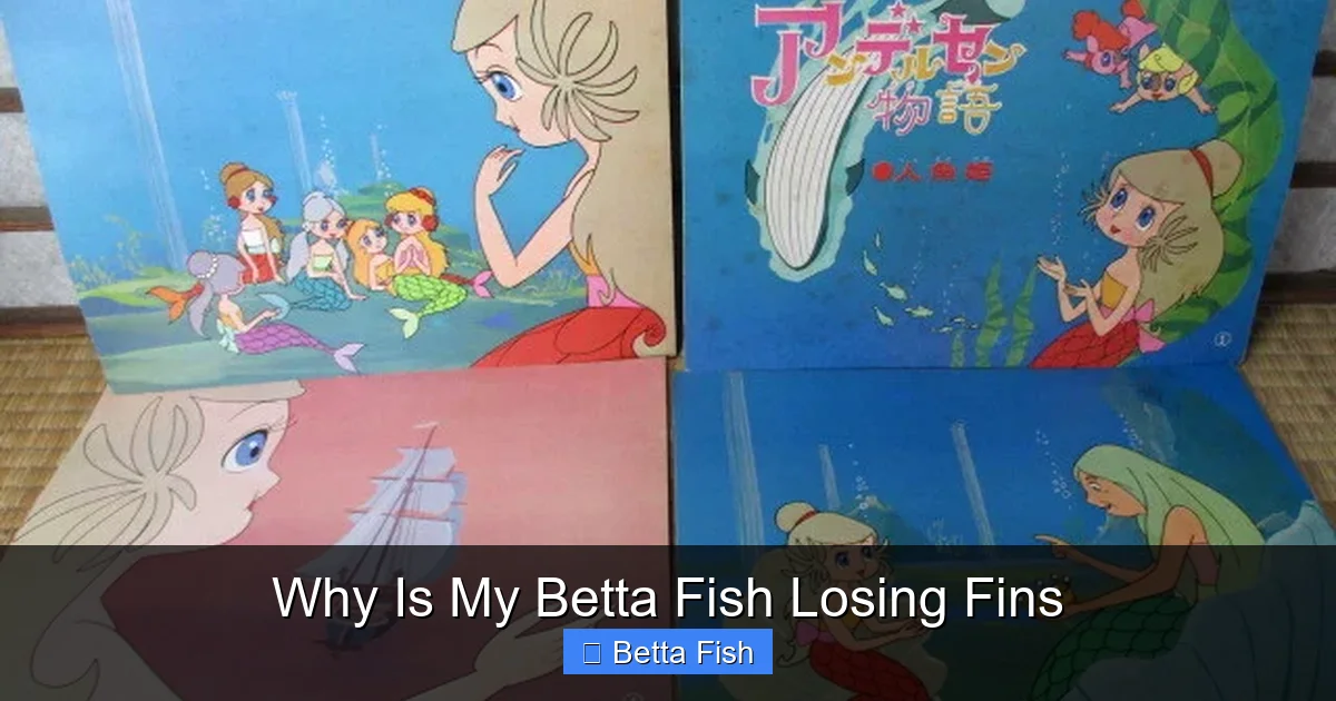 Why Is My Betta Fish Losing Fins