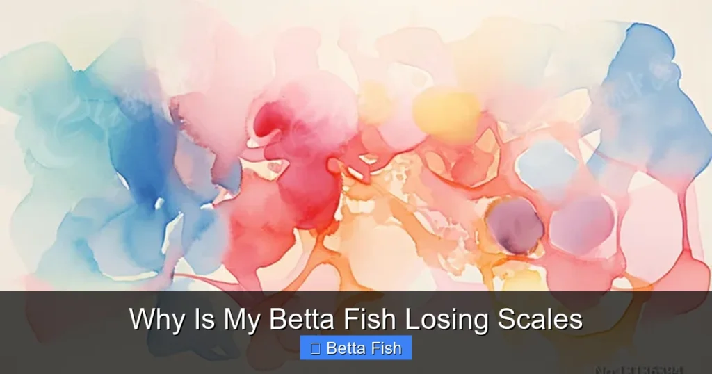 Why Is My Betta Fish Losing Scales