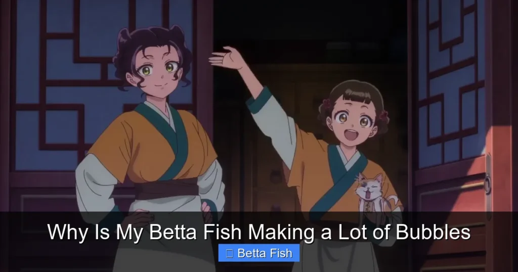 Why Is My Betta Fish Making a Lot of Bubbles