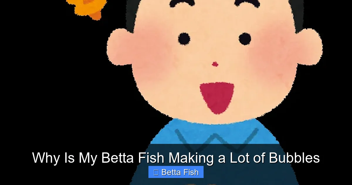 Why Is My Betta Fish Making a Lot of Bubbles