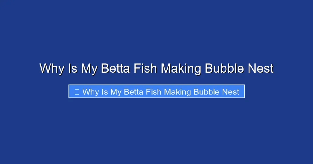 Why Is My Betta Fish Making Bubble Nest