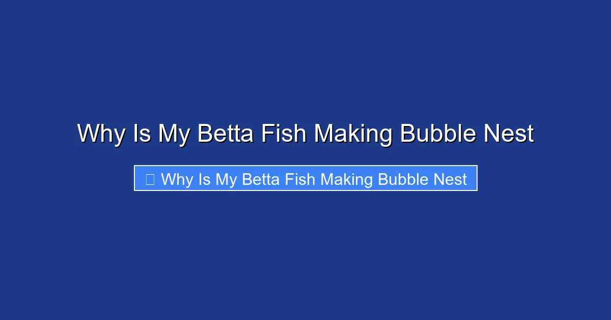 Why Is My Betta Fish Making Bubble Nest