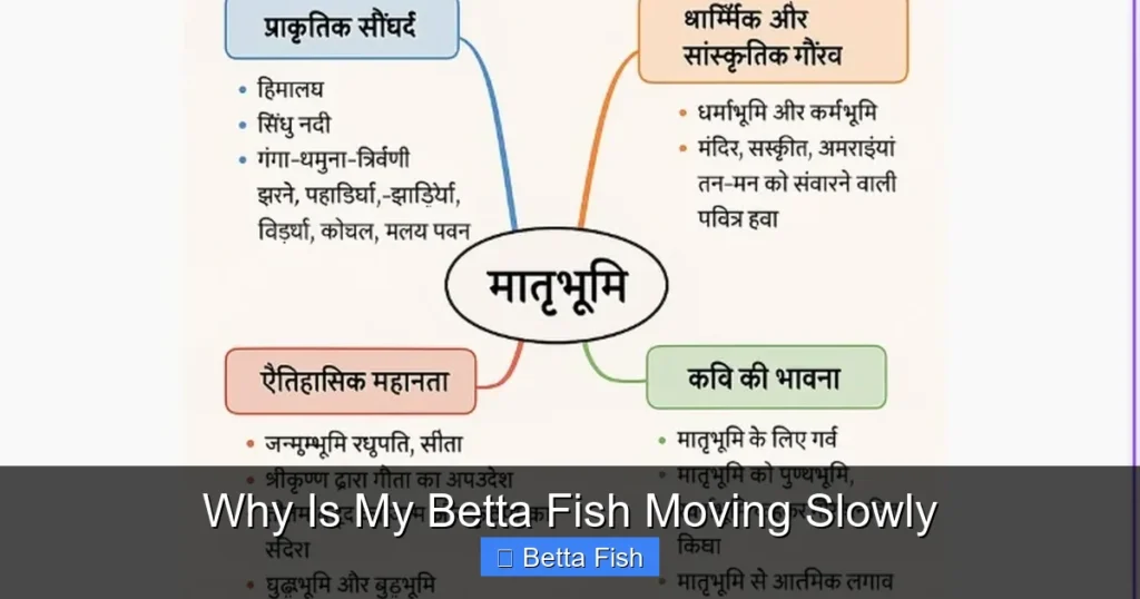 Why Is My Betta Fish Moving Slowly