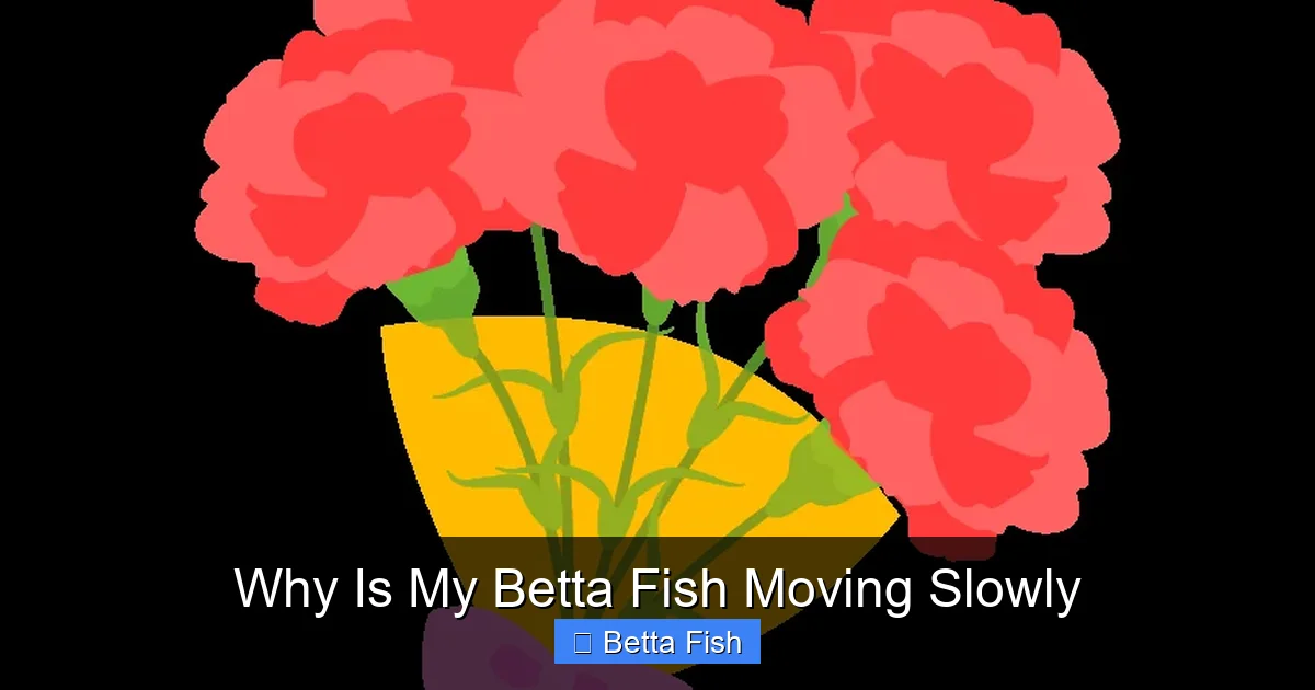 Why Is My Betta Fish Moving Slowly