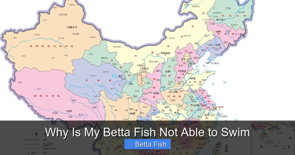 Why Is My Betta Fish Not Able to Swim