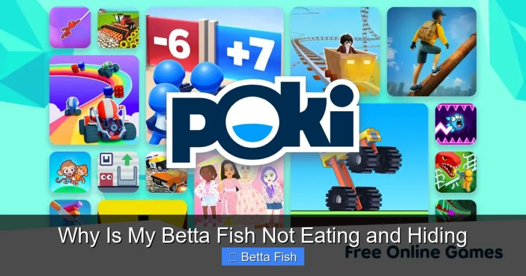 Why Is My Betta Fish Not Eating and Hiding
