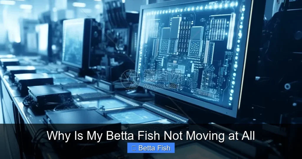 Why Is My Betta Fish Not Moving at All