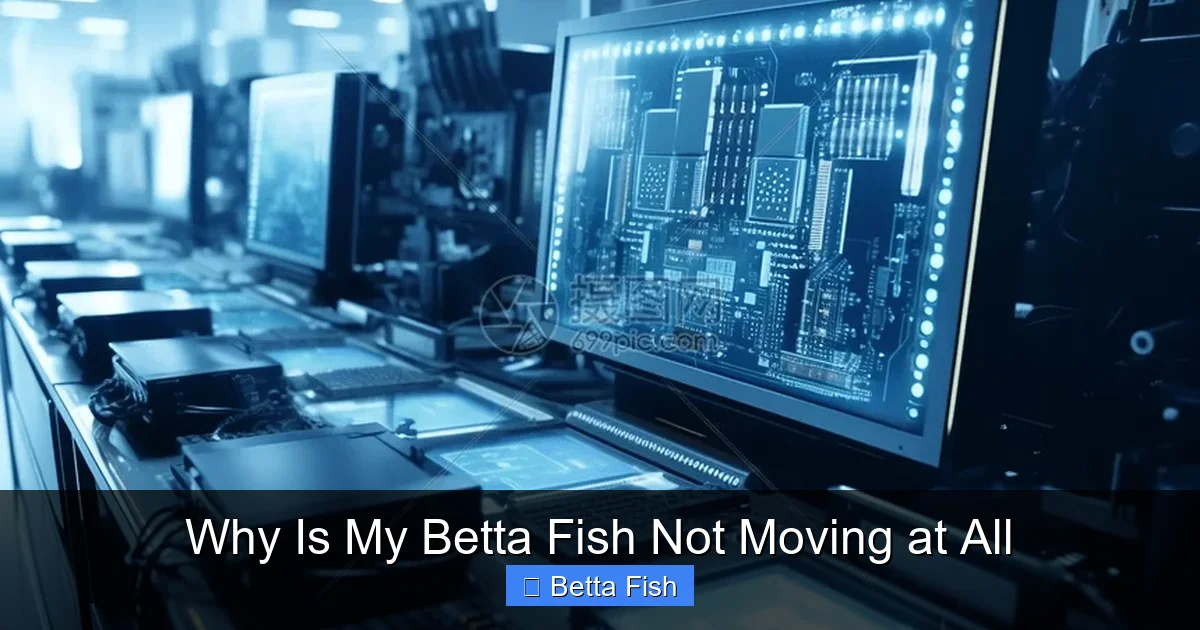 Why Is My Betta Fish Not Moving at All