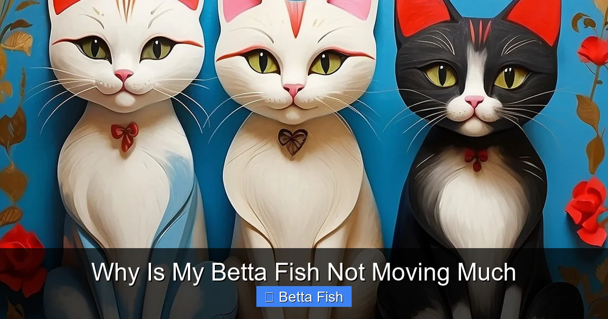 Why Is My Betta Fish Not Moving Much