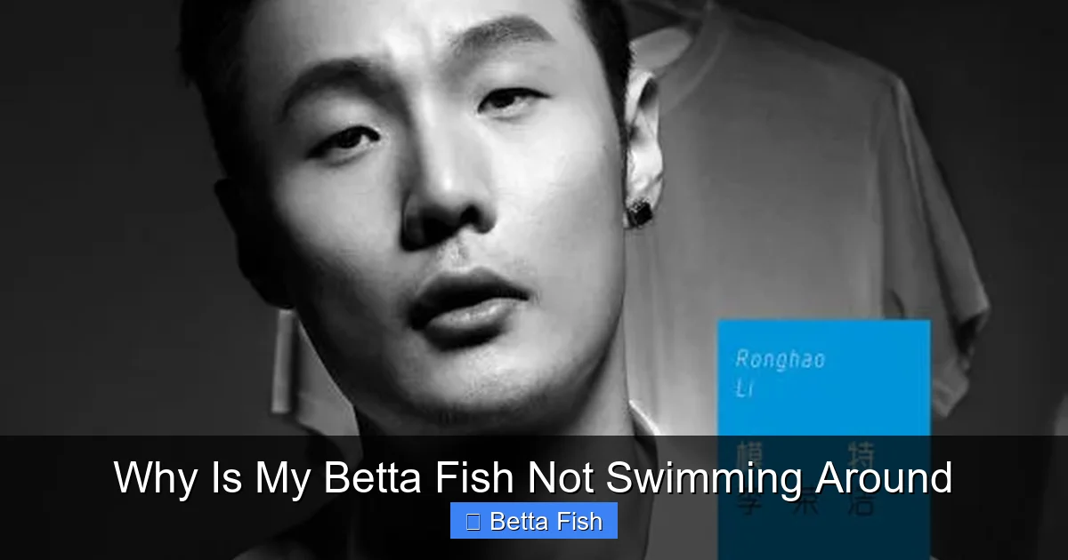 Why Is My Betta Fish Not Swimming Around