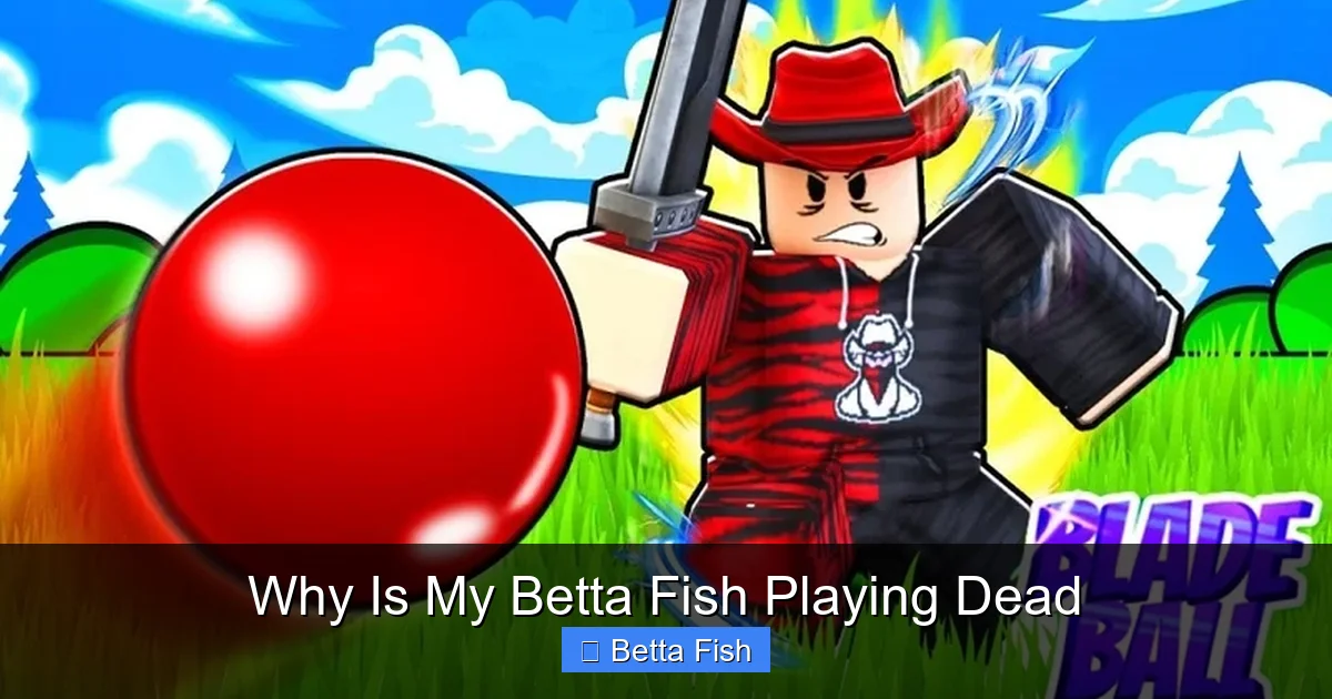 Why Is My Betta Fish Playing Dead