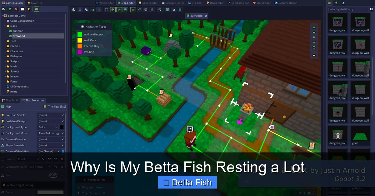 Why Is My Betta Fish Resting a Lot