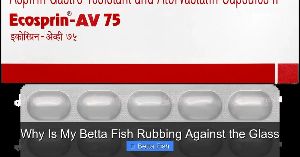 Why Is My Betta Fish Rubbing Against the Glass