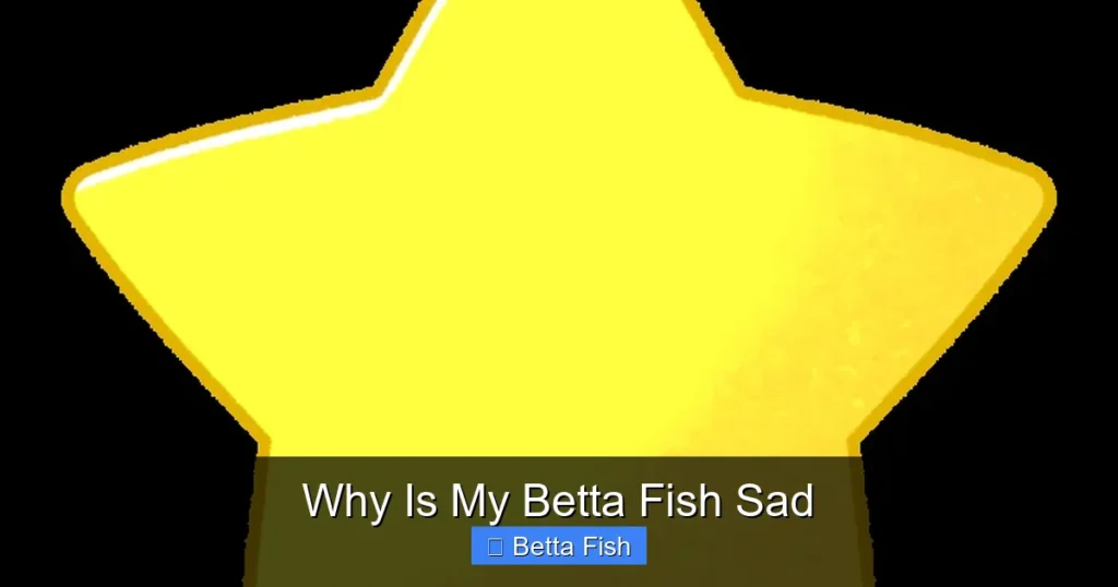 Why Is My Betta Fish Sad