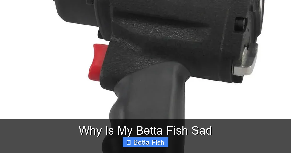 Why Is My Betta Fish Sad