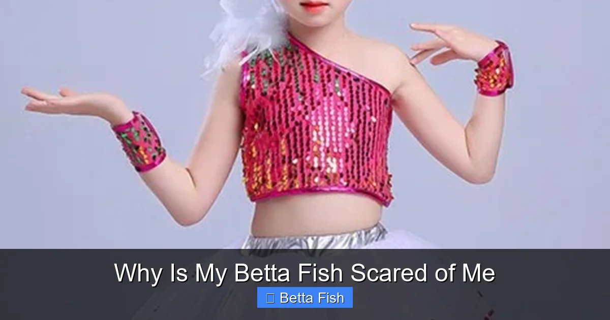 Why Is My Betta Fish Scared of Me