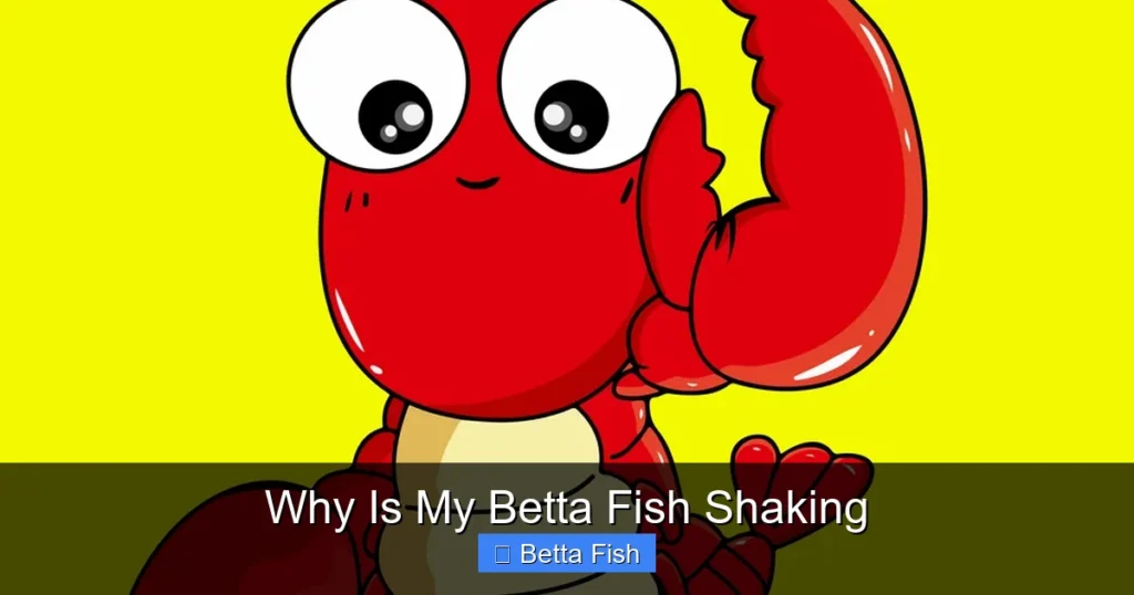 Why Is My Betta Fish Shaking