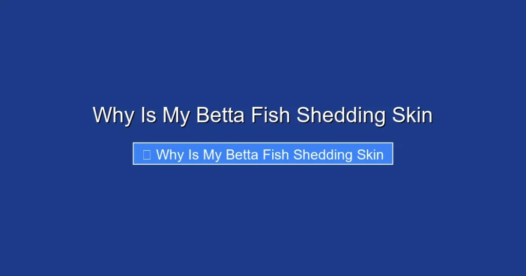 Why Is My Betta Fish Shedding Skin