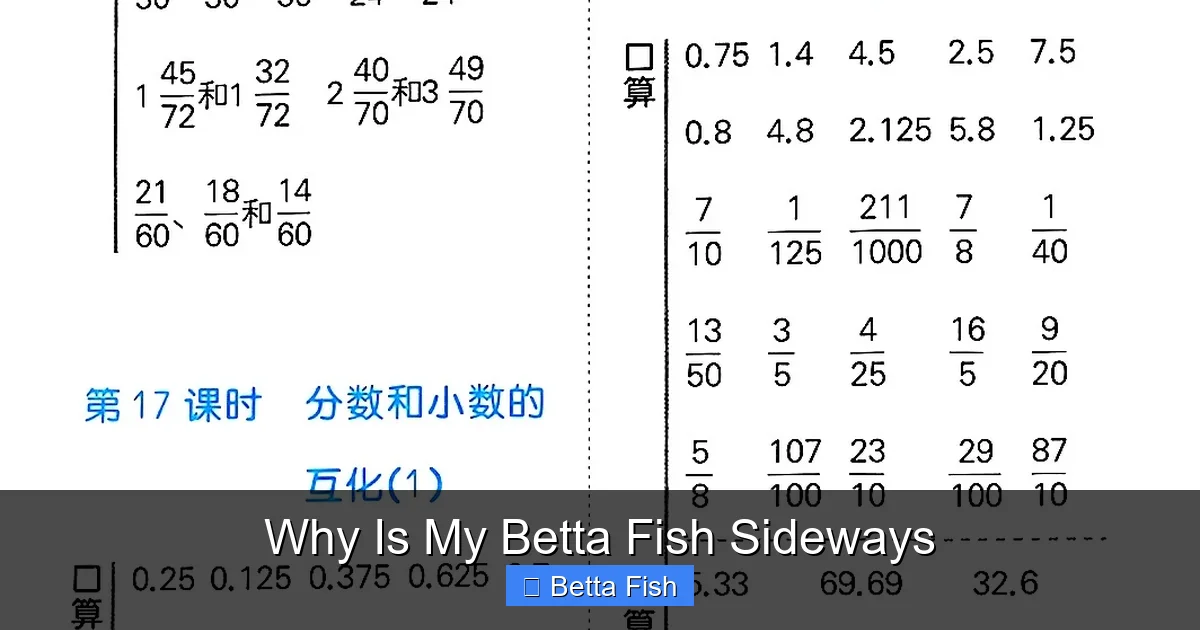 Why Is My Betta Fish Sideways