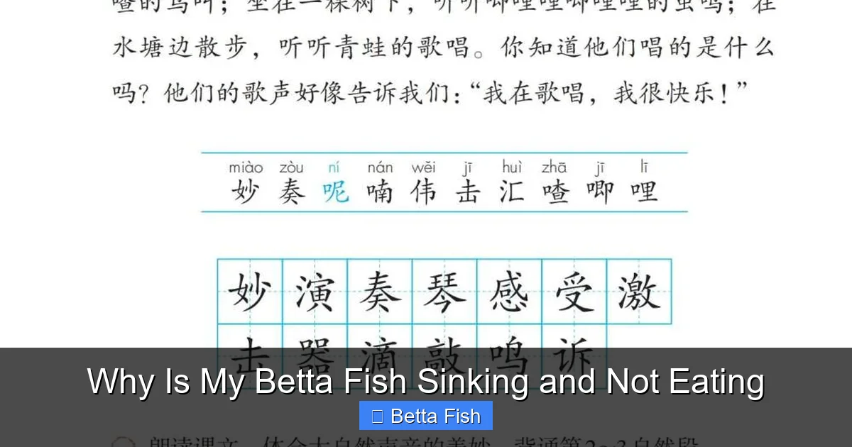 Why Is My Betta Fish Sinking and Not Eating