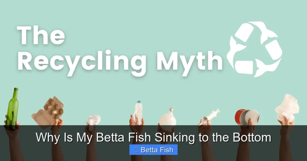 Why Is My Betta Fish Sinking to the Bottom