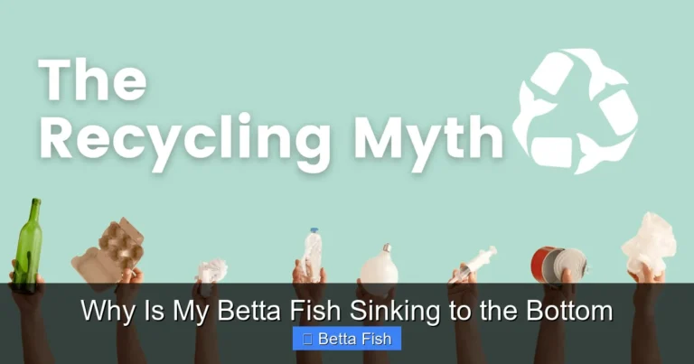 Why Is My Betta Fish Sinking to the Bottom