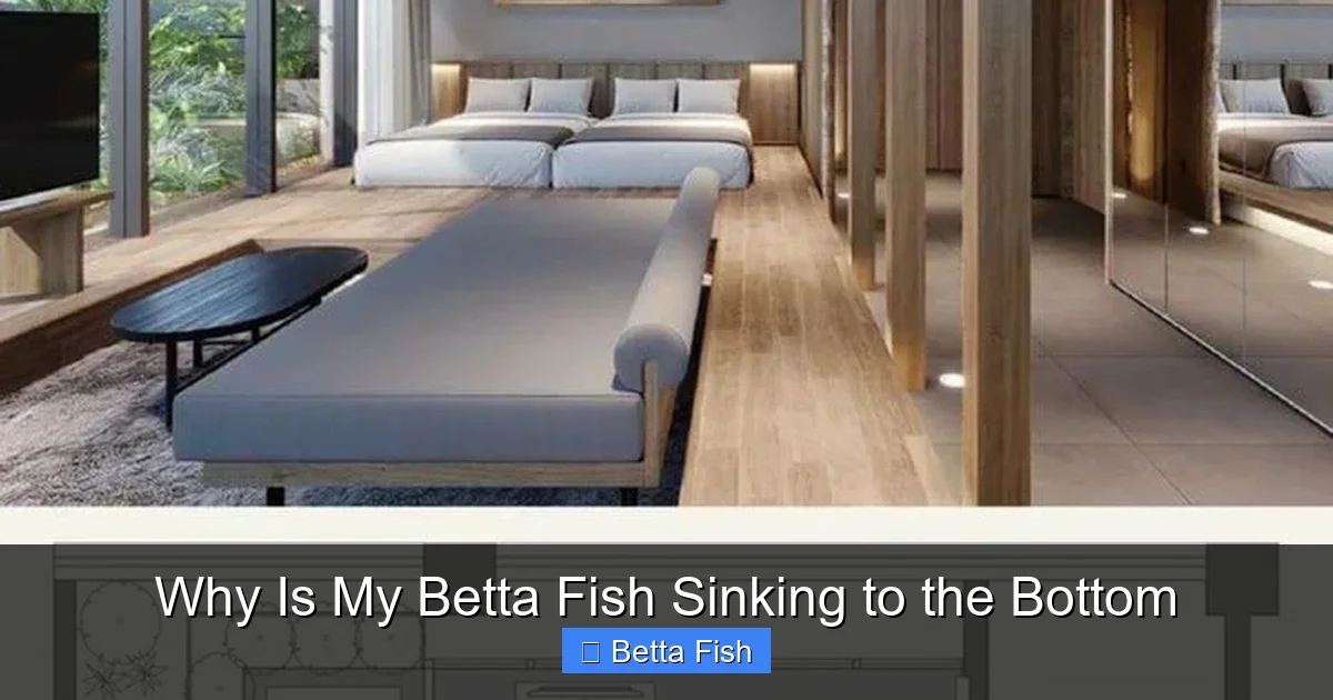 Why Is My Betta Fish Sinking to the Bottom