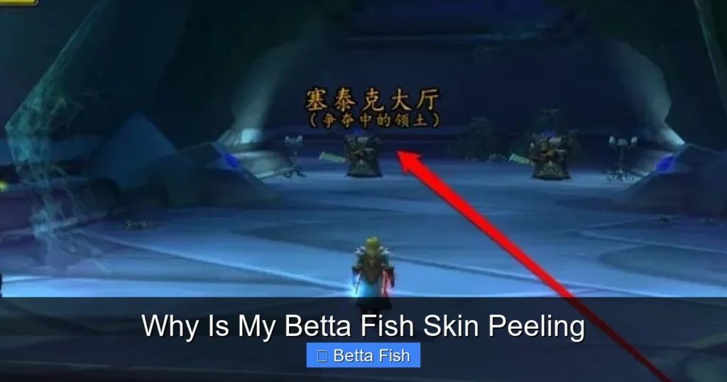 Why Is My Betta Fish Skin Peeling