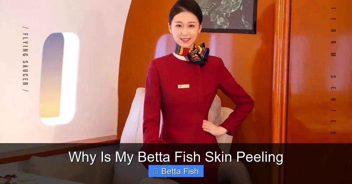 Why Is My Betta Fish Skin Peeling