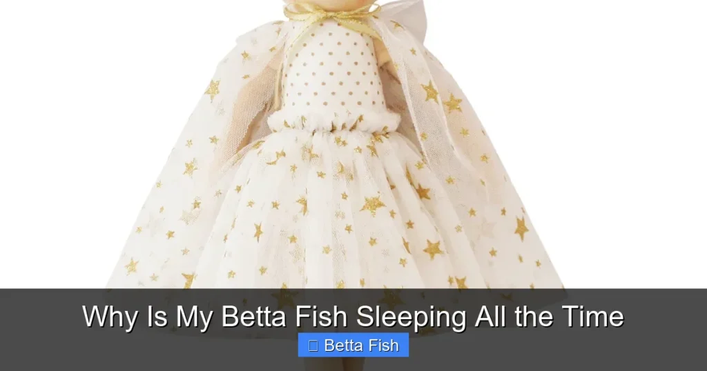 Why Is My Betta Fish Sleeping All the Time