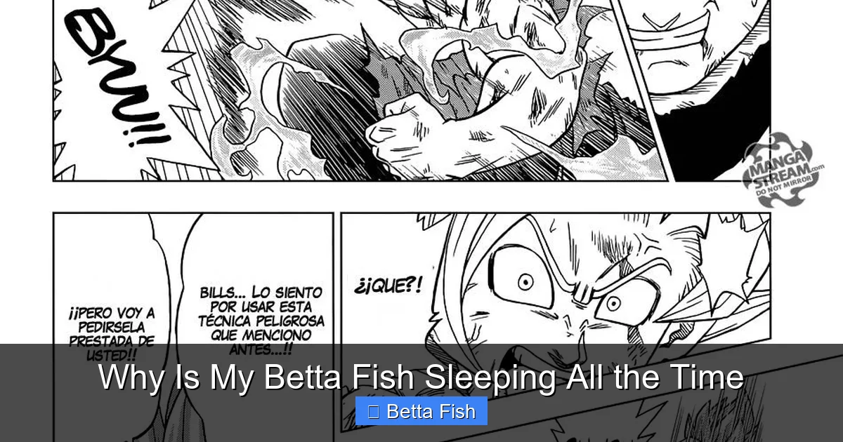 Why Is My Betta Fish Sleeping All the Time
