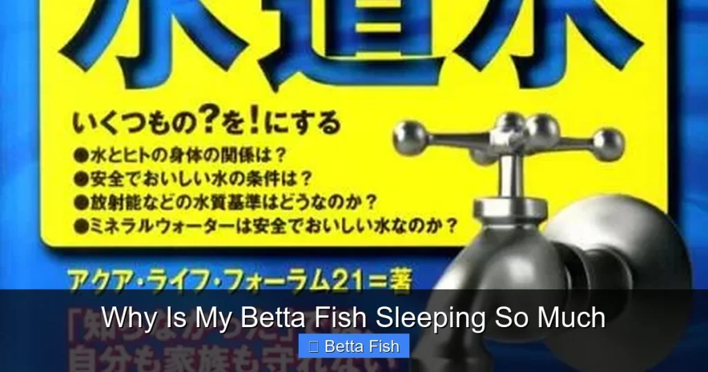 Why Is My Betta Fish Sleeping So Much