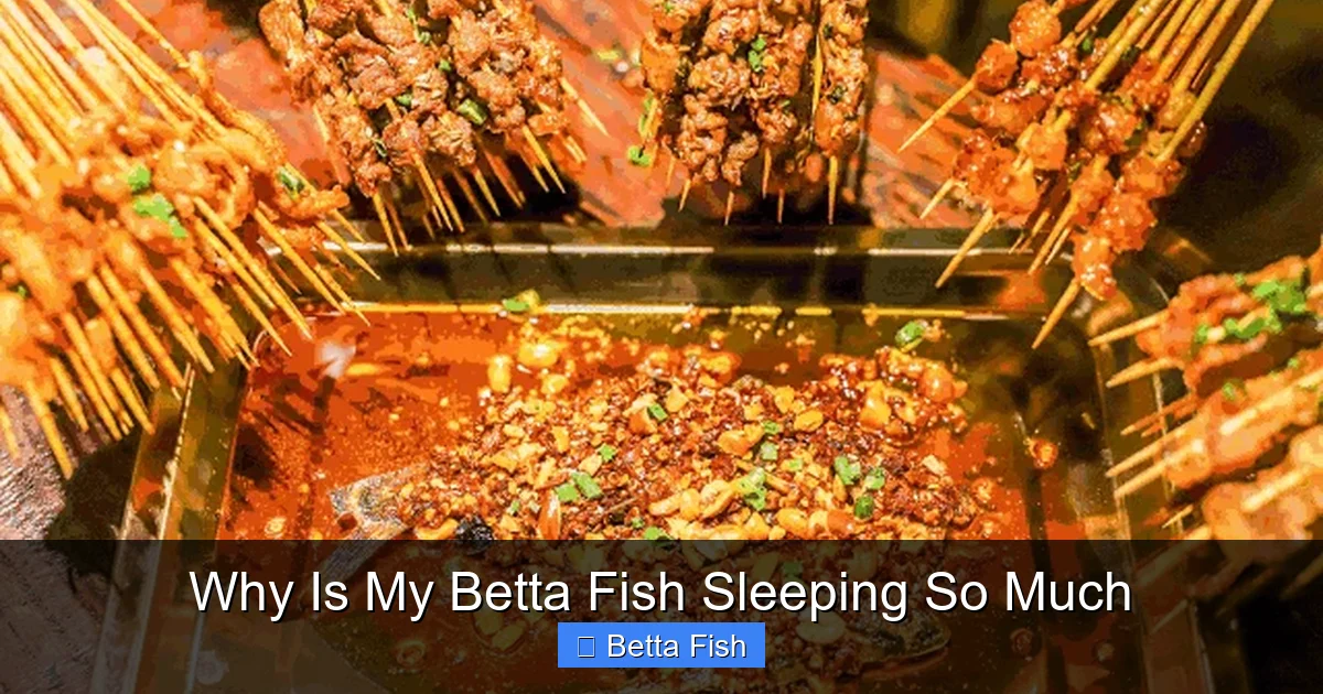 Why Is My Betta Fish Sleeping So Much