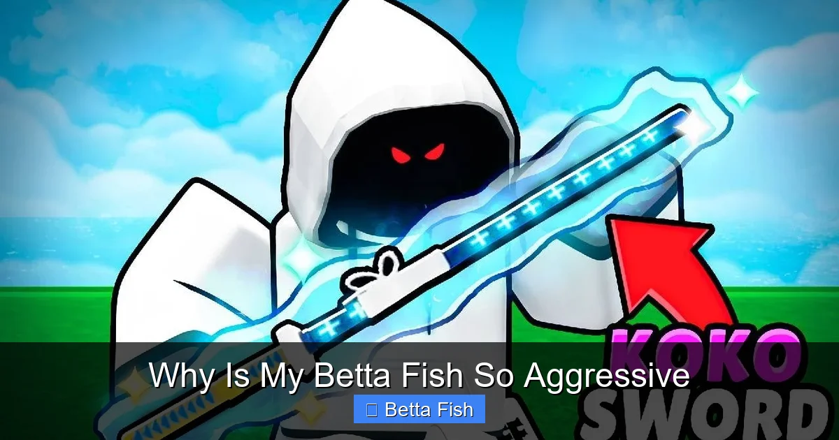 Why Is My Betta Fish So Aggressive